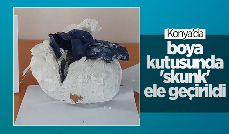 Konya'da boya kutusuna zulalanmış 'skunk' ele geçirildi 