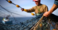 Tarım ve Orman Bakanlığın'dan balıkçılara destek ödemesi