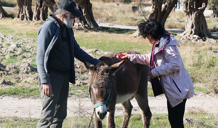 Hayvansever çift, eşek 