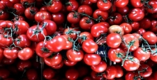 Türkiye'den 54 ülkeye 377 milyon dolarlık domates ihraç edildi 