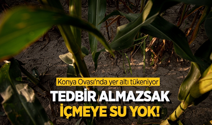 Tedbir almazsak, içmeye su yok!