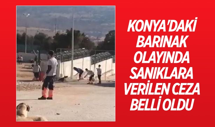 Konya'daki barınak olayında sanıklara verilen ceza belli oldu